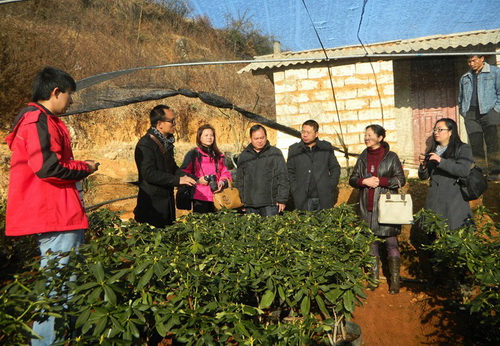 中心对松花坝水源保护区开展高山杜鹃产业培训